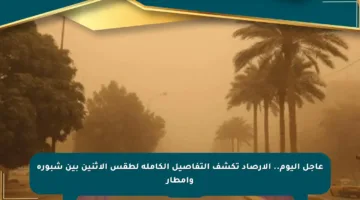 عاجل اليوم.. الأرصاد تكشف التفاصيل الكاملة لطقس الاثنين بين شبورة وأمطار